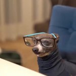 Dog with Glasses