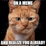 That moment when... | THAT MOMENT WHEN
YOU START TO COMMENT
ON A MEME; AND REALIZE YOU ALREADY
COMMENTED ON IT
TWO YEARS AGO | image tagged in frustrated cat | made w/ Imgflip meme maker