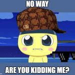 HAHAHAHHAHA | NO WAY; ARE YOU KIDDING ME? | image tagged in angry mametchi | made w/ Imgflip meme maker