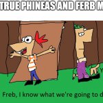 phinous and freb | THE TRUE PHINEAS AND FERB MEME | image tagged in phinous and freb | made w/ Imgflip meme maker