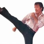 chuck norris roundhouse kick