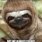 Murderous mini bears | WHAT IF SLOTHS ARE MURDEROUS MINI BEARS; BUT WE ALWAYS ESCAPE THE CLUTCHES OF THEIR CLAWS BECAUSE THEY ARE SO SLOW | image tagged in creepy sloth | made w/ Imgflip meme maker