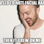 Breaking bad | I USED TO HATE FACIAL HAIR; THEN IT GREW ON ME | image tagged in breaking bad | made w/ Imgflip meme maker