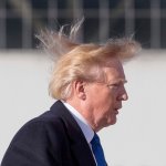 What It Looks Like When Trump Farts