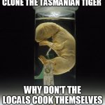 genetics disaster  in Tasmania | INSTEAD OF TRYING TO CLONE THE TASMANIAN TIGER; WHY DON'T THE LOCALS COOK THEMSELVES UP SOME BETTER GENETICS | image tagged in tasmanian tiger jar,tasmania,australia,genetics disaster,tasmanian | made w/ Imgflip meme maker