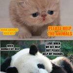 Cute animals | WHERE AM I; PLEASE HELP THE ANIMALS; WHEN ANIMALS NEED HELP; WHEN ANIMALS GET HELP; I LOVE WHEN WE GET HELP BUT PLEASE HELP MY FRIENDS | image tagged in cute animals | made w/ Imgflip meme maker