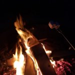 Bonfire smores meme