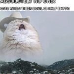 Brat cats gonna brat | NO ONE:
ABSOLUTELY NO ONE:; CATS WHEN THEIR BOWL IS HALF EMPTY: | image tagged in country roads cat | made w/ Imgflip meme maker