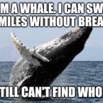 whale cant find who asked