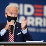 Joe Biden - some black woman was able to stack the grocery shelf