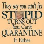 Trump you can't fix stupid