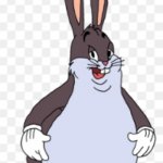 bigchungus | WHEN YOU EAT A BIGHT OF  MC DONADLS; AND YOU THINK WHY YOU LOOK LIKE THIS | image tagged in bigchungus | made w/ Imgflip meme maker