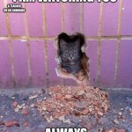 Cat in a wall | I AM WATCHING YOU; A TEACHER ON GO GUARDIAN; ALWAYS | image tagged in cat in a wall | made w/ Imgflip meme maker