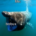 bobux | Me:; bobux | image tagged in when bobux,bobux,b o bu x | made w/ Imgflip meme maker