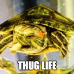 Turtle Thug | THUG LIFE | image tagged in turtle smoke weed | made w/ Imgflip meme maker