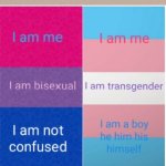 Transgender and bisexual meme