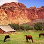 Capitol Reef