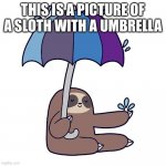 sloth with an umbrella | THIS IS A PICTURE OF A SLOTH WITH A UMBRELLA | image tagged in sloth with an umbrella | made w/ Imgflip meme maker