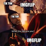 What the hell are you | IMGFLIP; TIK TOK; TIK TOK; IMGFLIP | image tagged in what the hell are you | made w/ Imgflip meme maker