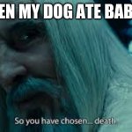 So you have chosen death | ME WHEN MY DOG ATE BABY YODA | image tagged in so you have chosen death | made w/ Imgflip meme maker