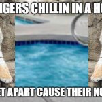 Hot tub | TWO TIGERS CHILLIN IN A HOT TUB; FIVE FEET APART CAUSE THEIR NOT PREY | image tagged in hot tub | made w/ Imgflip meme maker