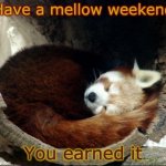Time to chill | Have a mellow weekend; You earned it | image tagged in red panda,nap | made w/ Imgflip meme maker