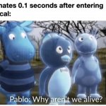 Pablo? meme