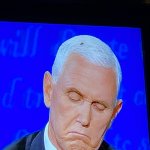 Fly on Mike pence head