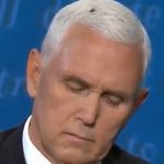 Pence and the Fly