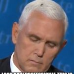 Pence and the Fly | LOOK HOW PROFESSIONAL THIS IS | image tagged in pence and the fly | made w/ Imgflip meme maker