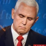 Mike Pence fly on head