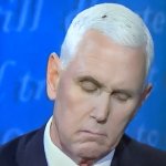 Pence is so fly