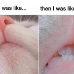 Teef | then I was like... at first, I was like... | image tagged in teef | made w/ Imgflip meme maker