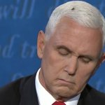 Fly on Mike Pence