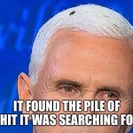 Pence Fly | IT FOUND THE PILE OF SHIT IT WAS SEARCHING FOR | image tagged in pence fly | made w/ Imgflip meme maker