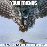 Friends! | YOUR FRIENDS; THE CRUSHING DESPAIR AND PAIN OF AN UNFAIR AND CRUEL EXISTTENCE | image tagged in owl hunts mouse | made w/ Imgflip meme maker