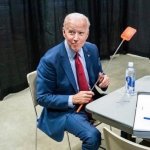 Joe Biden flyswatter meme