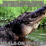 Those gators looking at us are thinking one thing... | TOURISTS BEING DRIVEN AROUND KENNEDY SPACE CENTER; "MEALS ON WHEELS" | image tagged in alligator,florida,tourists,ride,food,meals on wheels | made w/ Imgflip meme maker