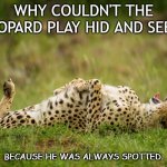 Bad Dad Joke Oct 8 2020 | WHY COULDN'T THE LEOPARD PLAY HID AND SEEK? BECAUSE HE WAS ALWAYS SPOTTED. | image tagged in laughing hard leopard | made w/ Imgflip meme maker