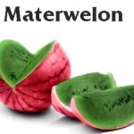 Materwelon! meme