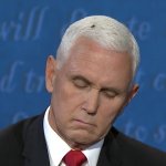 FLY ON PENCE