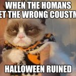 Grumpy Cat Halloween | WHEN THE HOMANS GET THE WRONG COUSTME HALLOWEEN RUINED | image tagged in memes,grumpy cat halloween,grumpy cat | made w/ Imgflip meme maker