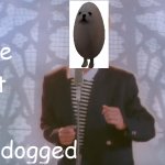 Eggdogged meme