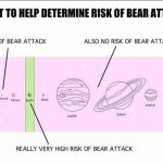 Risk of bear attack
