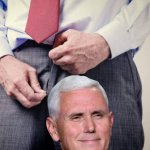 Pence and the fly