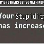 Your level has increased | MY BROTHER WHEN MY BROTHERS GET SOMETHING COMPLETELY WRONG; Stupidity | image tagged in your level has increased | made w/ Imgflip meme maker