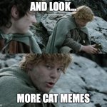 More Cat Memes | AND LOOK... MORE CAT MEMES | image tagged in sam gamgee lembas bread,cat memes | made w/ Imgflip meme maker