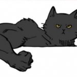 Tuff cat