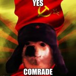 Comrade Doge | YES; COMRADE | image tagged in comrade doge | made w/ Imgflip meme maker