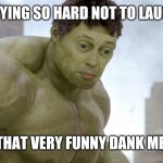 steve buscemi hulk | TRYING SO HARD NOT TO LAUGH; AT THAT VERY FUNNY DANK MEME. | image tagged in steve buscemi hulk | made w/ Imgflip meme maker